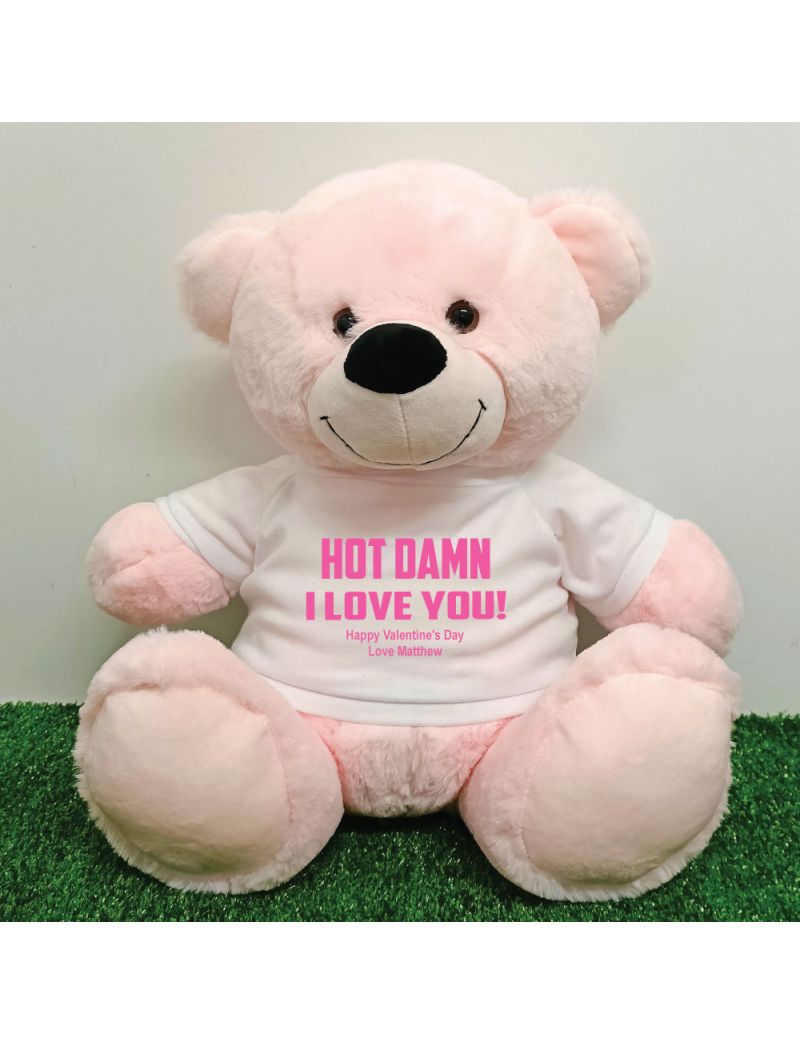 Naughty Love You Valentines Day Bear - 40cm Light Pink