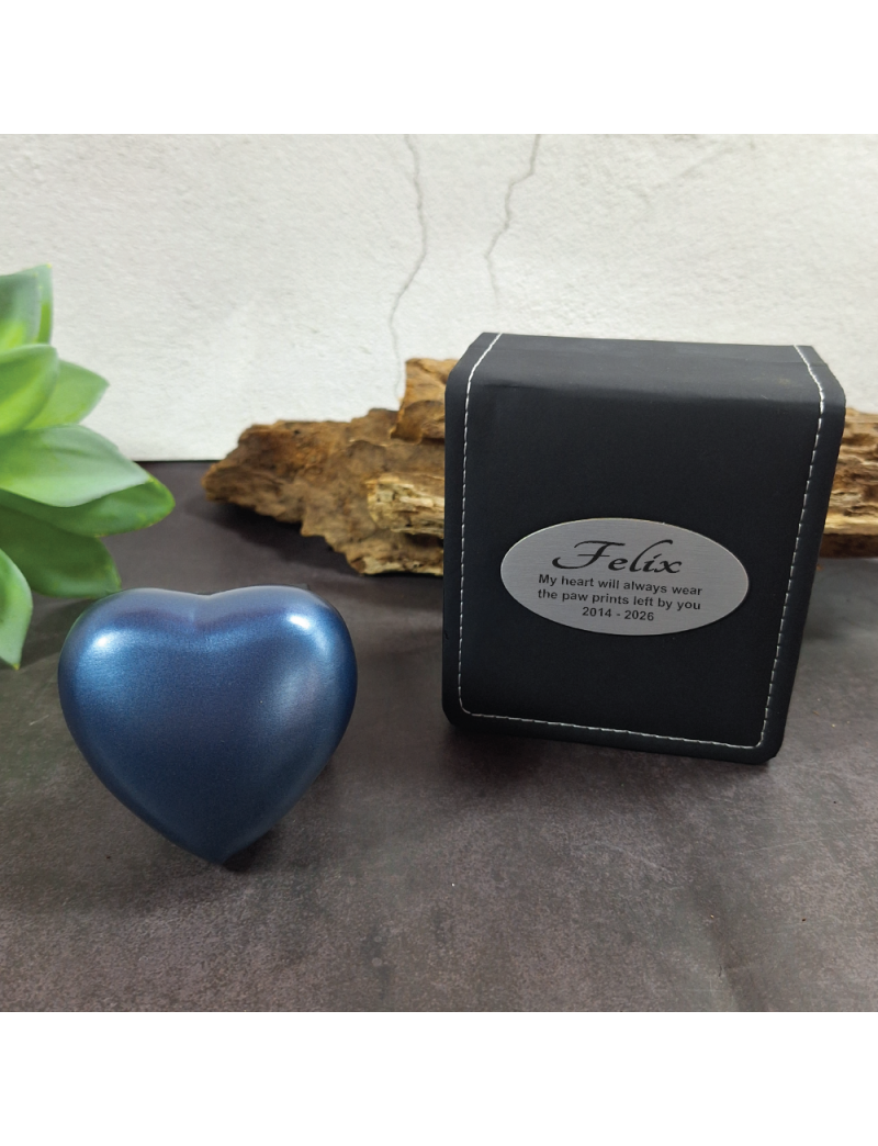 Pet Memorial keepsake Heart Urn For Ashes Blue