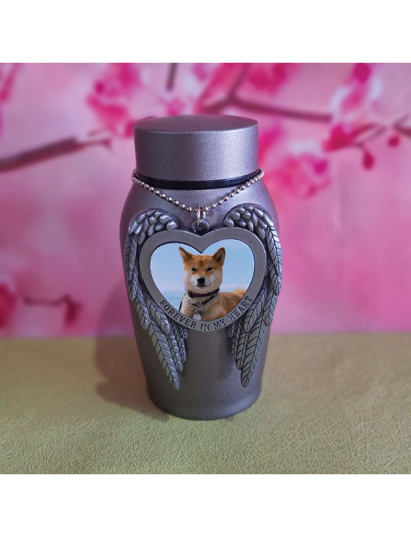Pet Memorial Cremation Ash Urn with Forever Heart