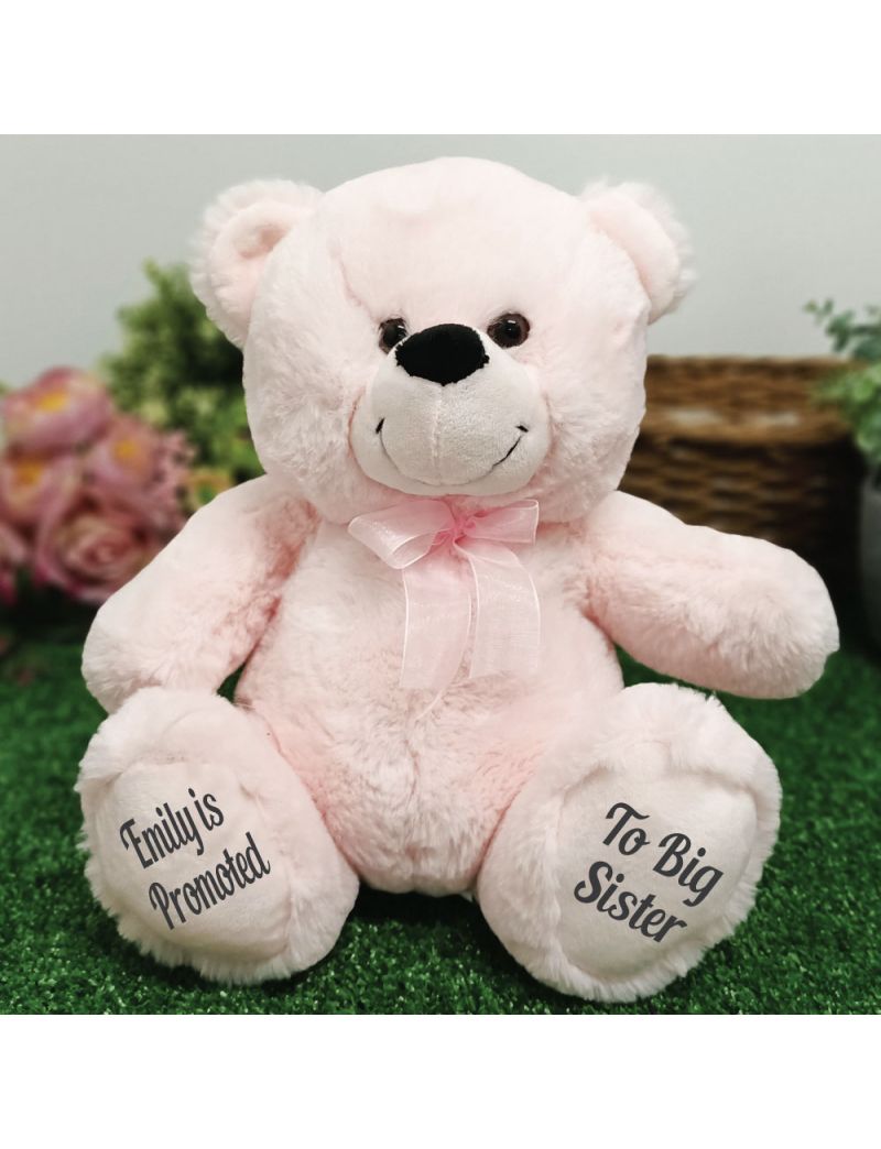 Big Sister Teddy Bear 30cm Light Pink