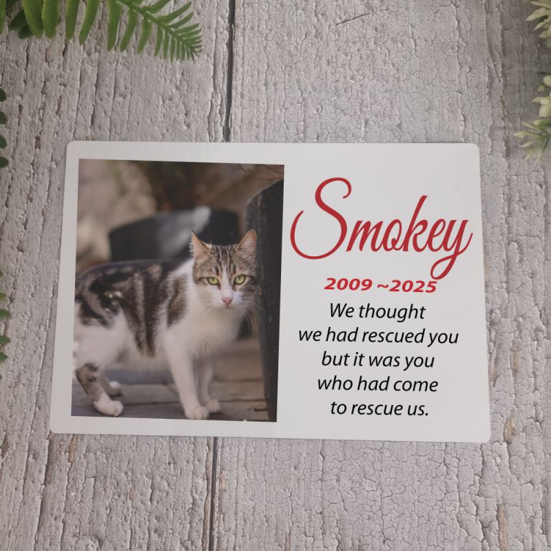 Cat Memorial Photo Plaque 5x7