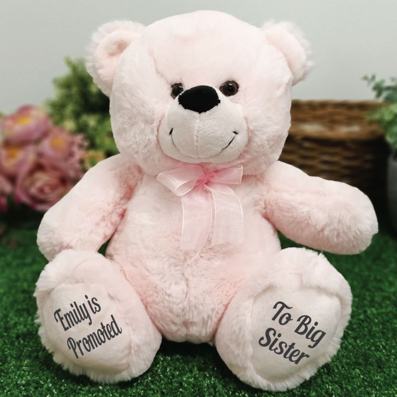 Personalised Message Bear 30cm Light Pink