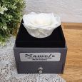 Everlasting White Rose Flower Girl Jewellery Gift Box
