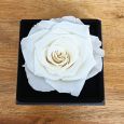 Everlasting White Rose 90th Jewellery Gift Box