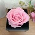 Eternal Pink Rose Christening Jewellery Gift Box