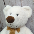 Personalised Birthday Bear Gordy Cream Plush 40cm
