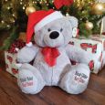 Personalised Christmas Bear 40cm Grey