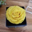 18th Birthday Yellow Eternal Rose Jewellery Gift Box