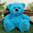 Big Sister Teddy Bear 30cm Bright Blue
