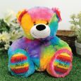 Personalised Message Bear 30cm Rainbow