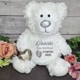 Angel Memorial Bear with Pewter Heart Urn For Ashes