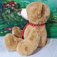 16th Birthday Bear Gordy Brown Red Tie 40cm