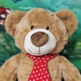 40th Birthday Bear Gordy Brown Red Tie 40cm