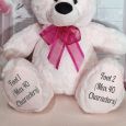 Easter Bear with Bunny Ears 40cm Pink Plush 
