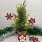 Christmas Tree Artificial Cyprus Pine LED Lights