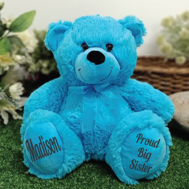 Big Sister Teddy Bear 30cm Bright Blue