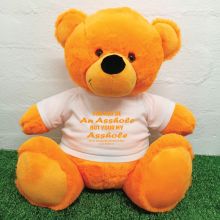 Valentines Day Bear You may Be A - 40cm Orange