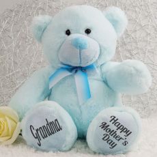 Grandma Mothers Day Teddy Bear Plush 30cm Light Blue