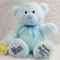 Mothers Day Teddy Bear Plush 30cm Light Blue